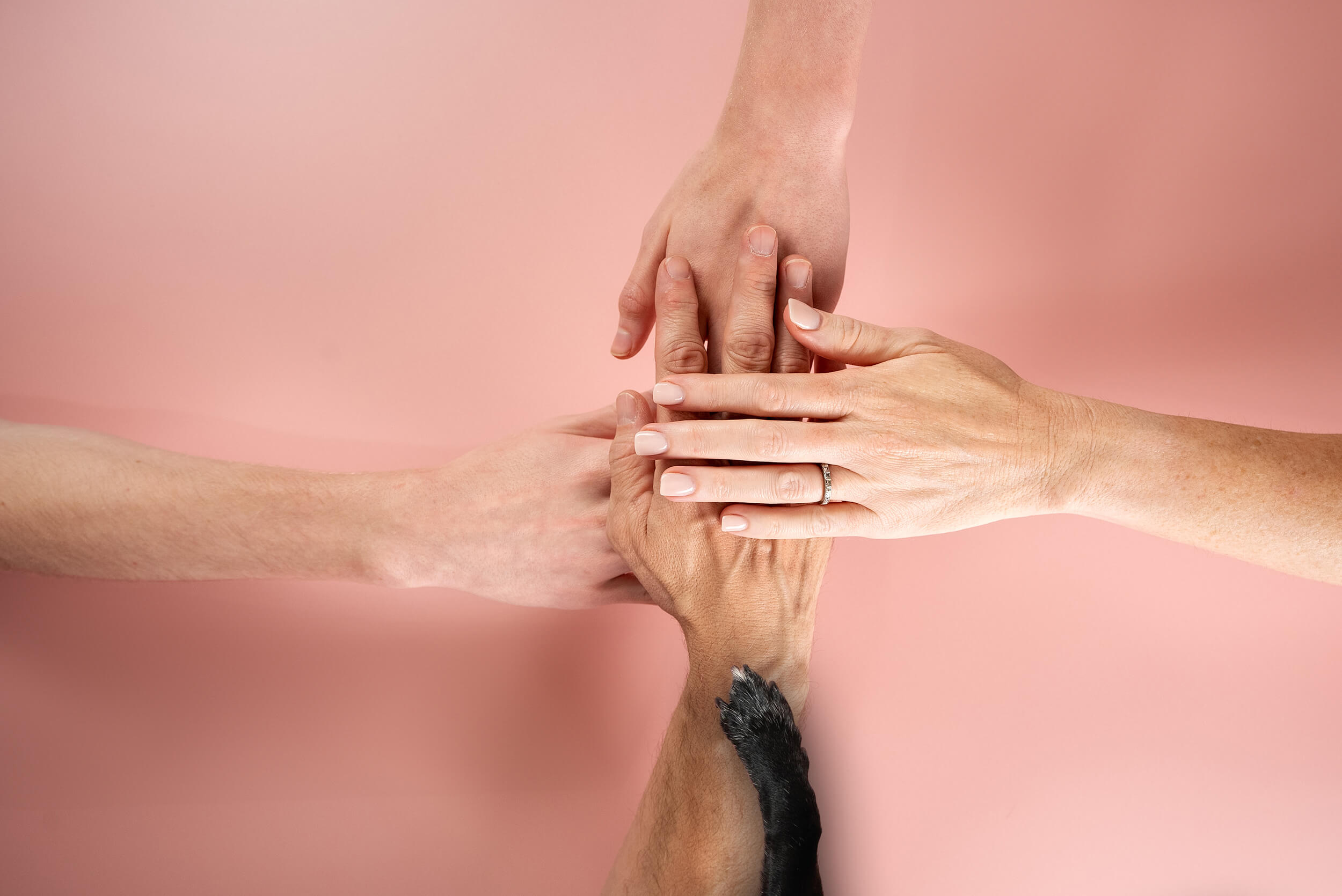 Four hands of different skin tones placed on top of each other against a pink background, symbolizing unity and teamwork.