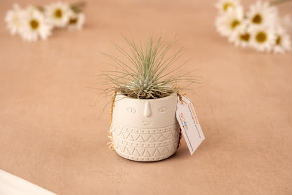 Island Boy – Concrete Character Vessel