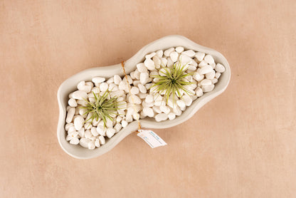 Wavy Tray – Modern Concrete Catchall
