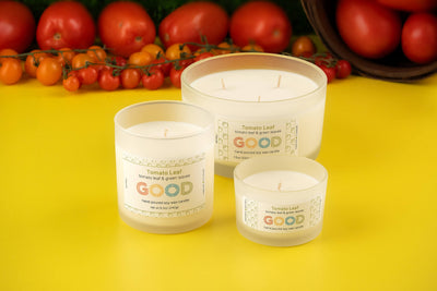 Three Tomato Leaf candles, made from soy wax, are displayed in glass jars on a yellow surface with tomatoes and cherry tomatoes, capturing the fresh scent of a garden.