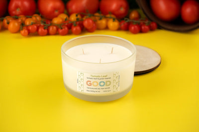 A white soy wax Tomato Leaf candle in a frosted glass jar sits on a yellow surface amid tomatoes and cherry tomatoes. The lid rests nearby, highlighting the fresh garden aroma of this unique Tomato Leaf candle.