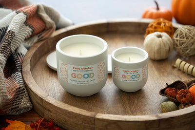Two white Early October coconut wax candles in concrete jars sit on a round wooden tray decorated with pumpkins and dried botanicals, next to a cozy plaid blanket.