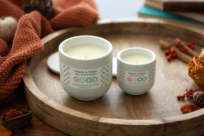 Two Thistle & Thorn coconut wax candles in white jars rest on a wooden tray beside fall decor, a cozy orange knit blanket, and stacked books. Enjoy their clean fragrance all season long.